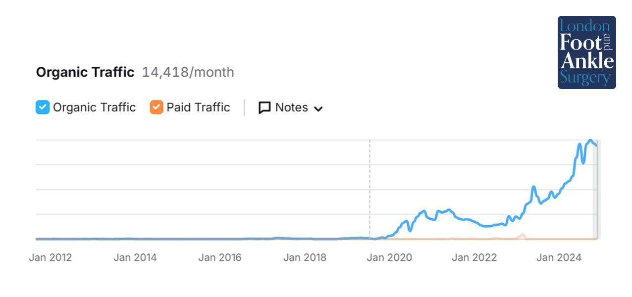 SEO Insights Chart