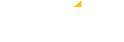 DVIO White Logo